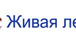 Google Buzz